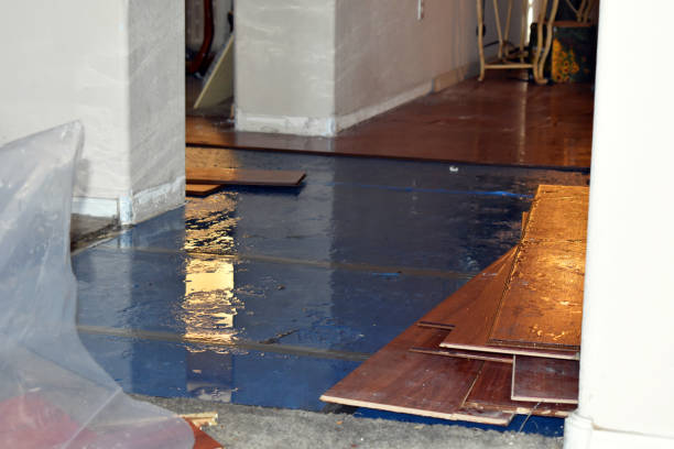 Professional Basement Flood Cleanup technician working in Kansas, OH